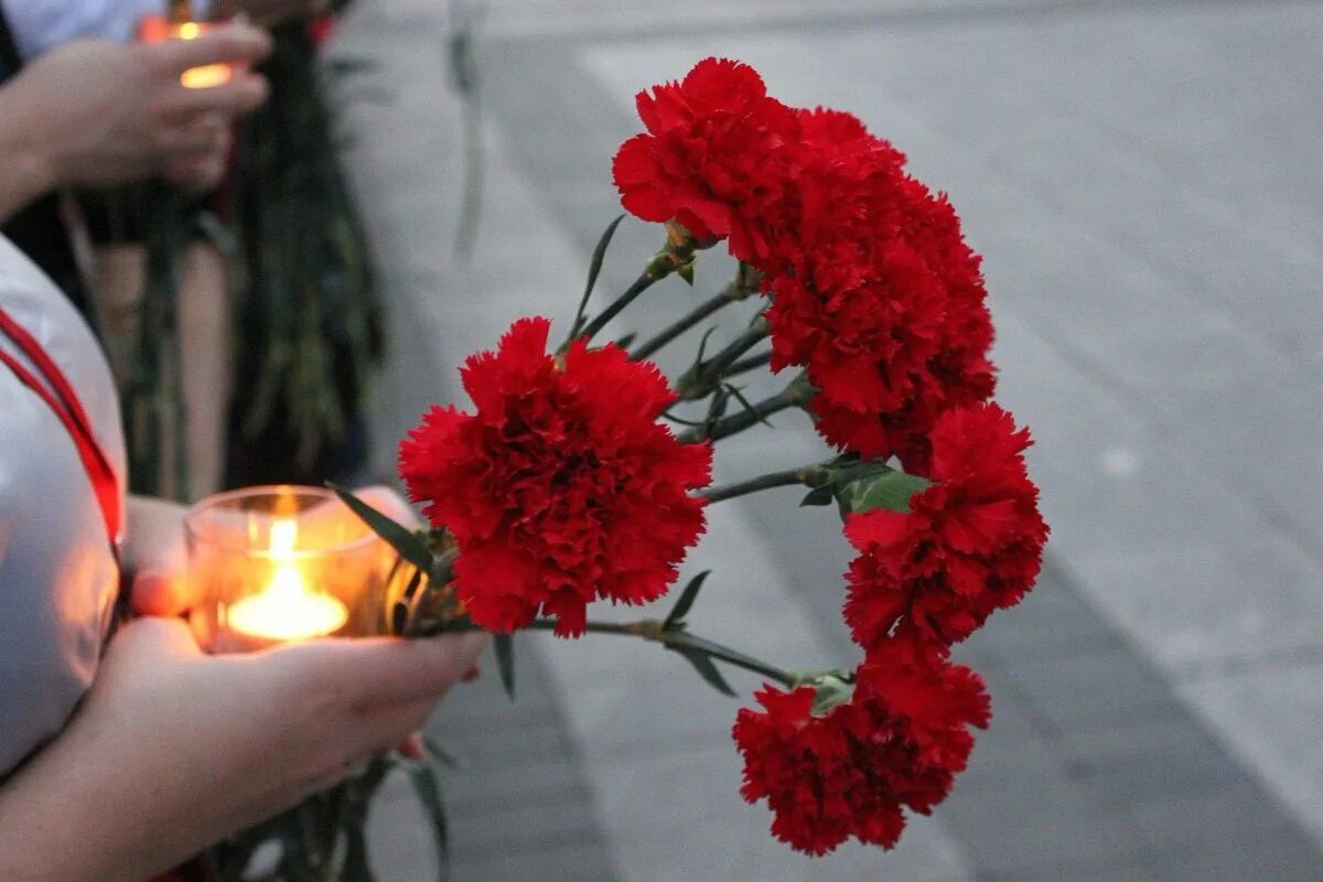 В знак памяти и уважения. День памяти и скорби. 22 Июня день памяти. Свеча и гвоздики. День памяти и скорби гвоздики.