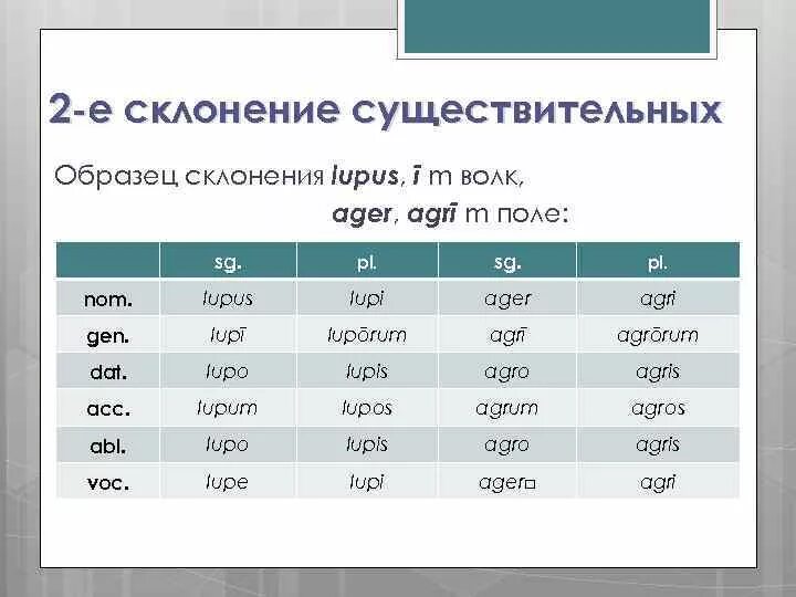 Слово латынь склонение. Склонение существительных. Скоонения существительнвх в лат. Существительное второго склонения в латинском языке. Склонения существительных таблица.