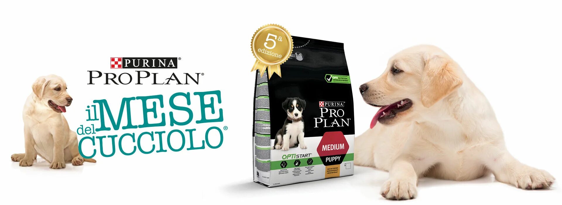 Purina Pro Plan ha 11 kg Dog. Purina Pro Plan корм Purina Pro Plan. Реклама Проплан для собак. План.