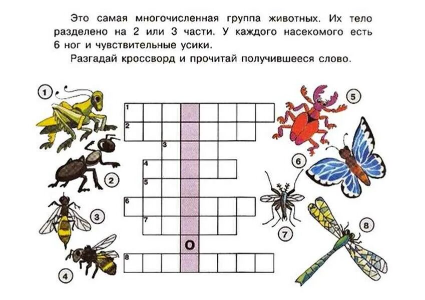 Кроссворд насекомые. Кроссворд про насекомых для детей. Насекомые задания для дошкольников. Кроссворд на тему насекомые. Вопрос ответ подготовительная группа