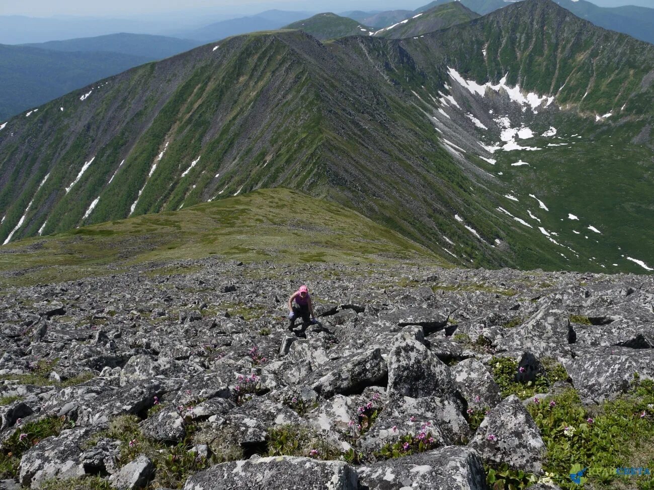 джугджур рельеф. джугджур нагорье. джугджур сихотэ алинь. джугджур. джугджур сихотэ алинь.