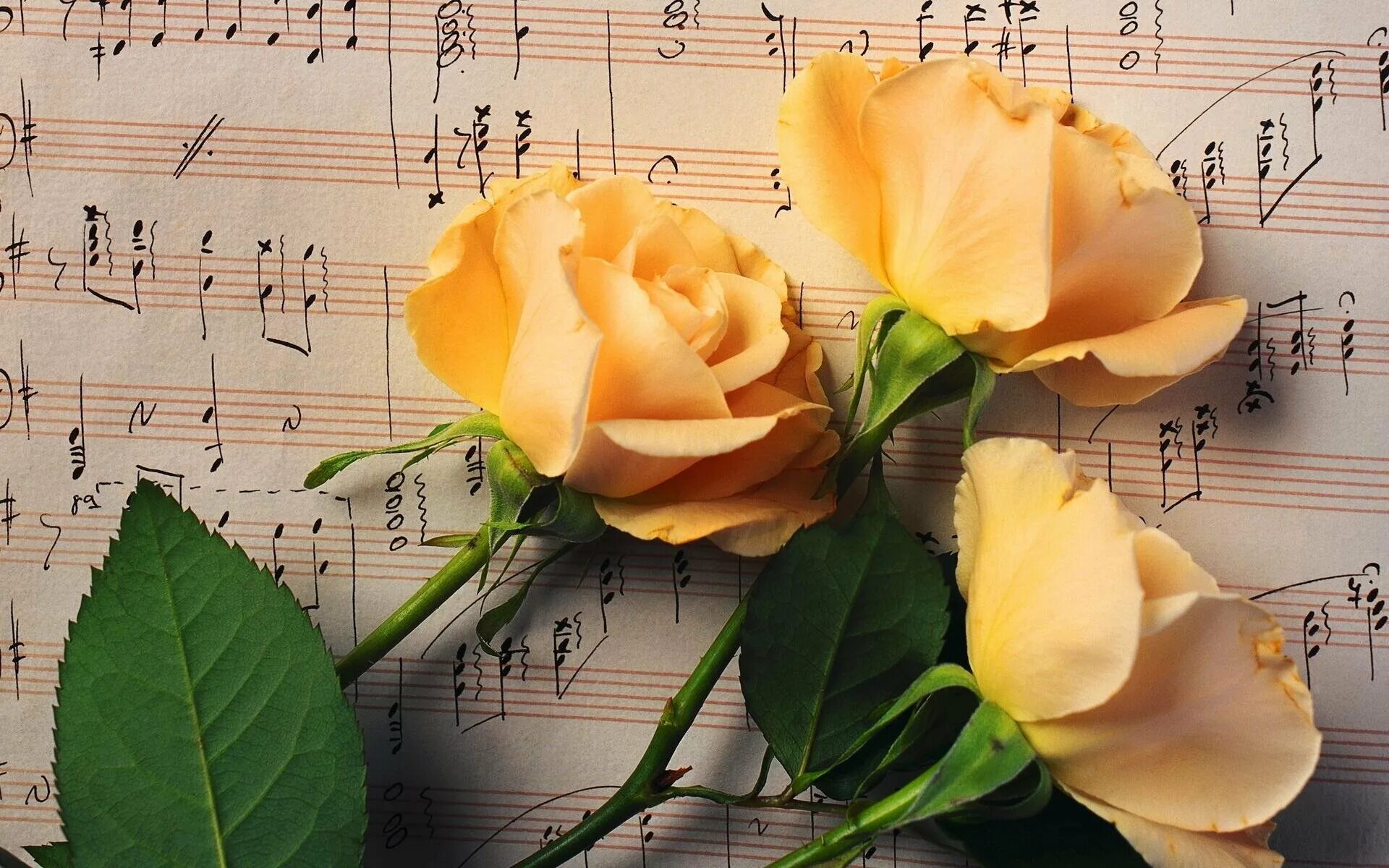 Песня с праздником вас добрые люди. Фон цветы. Музыкальный букет цветов. Цветы для музыканта. Открытка цветы.