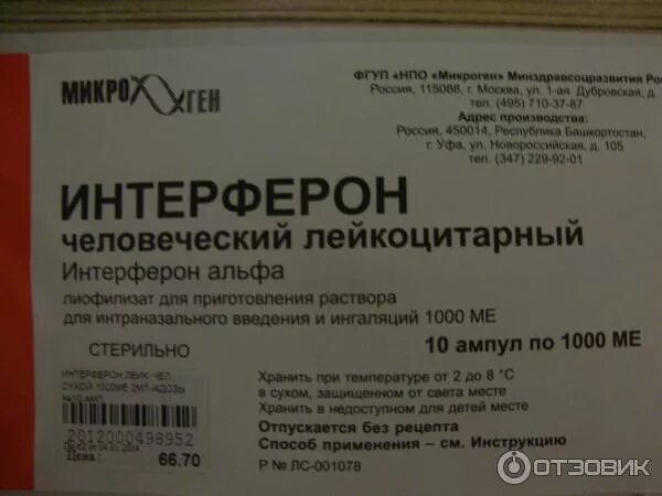 Интерферон интраназальное введение. Интерферон 90 противовирусный препарат. интерферон лямбда препараты. лейкоцитарный интерферон.
