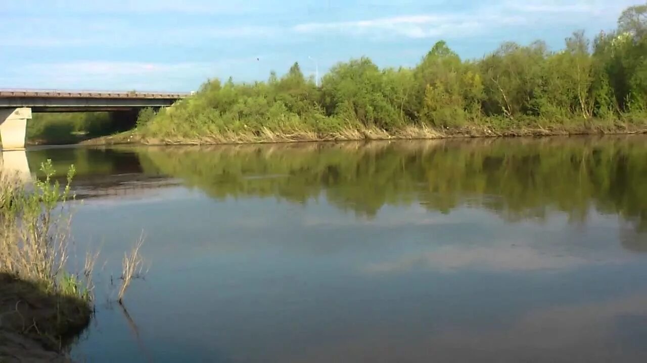 Гисметео плотниково. Иня река в Новосибирске в Плотниково. Пруд Плотниково Новосибирская. Село Плотниково Новосибирская область. Плотниково Томская область.