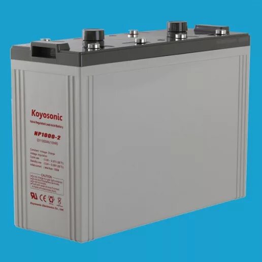 Батарея Rastar Valve regulated lead acid Battery.