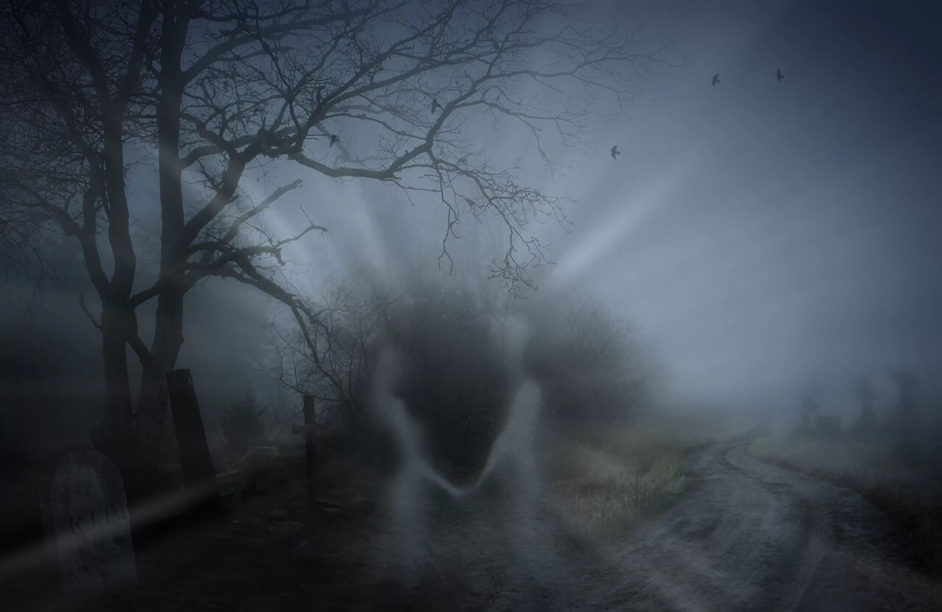 Смерть темноты. Сайлент Хилл туман. Страшный туман. Призрак в тумане. Жуткий туман.
