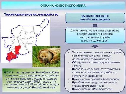Суть рационального использования и охраны охотничьих животных