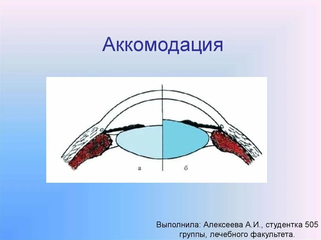 В аккомодации участвуют. Аккомодация. Аккомодационные структуры глаза. Аккомодация зрения. Мышцы аккомодации глаза.