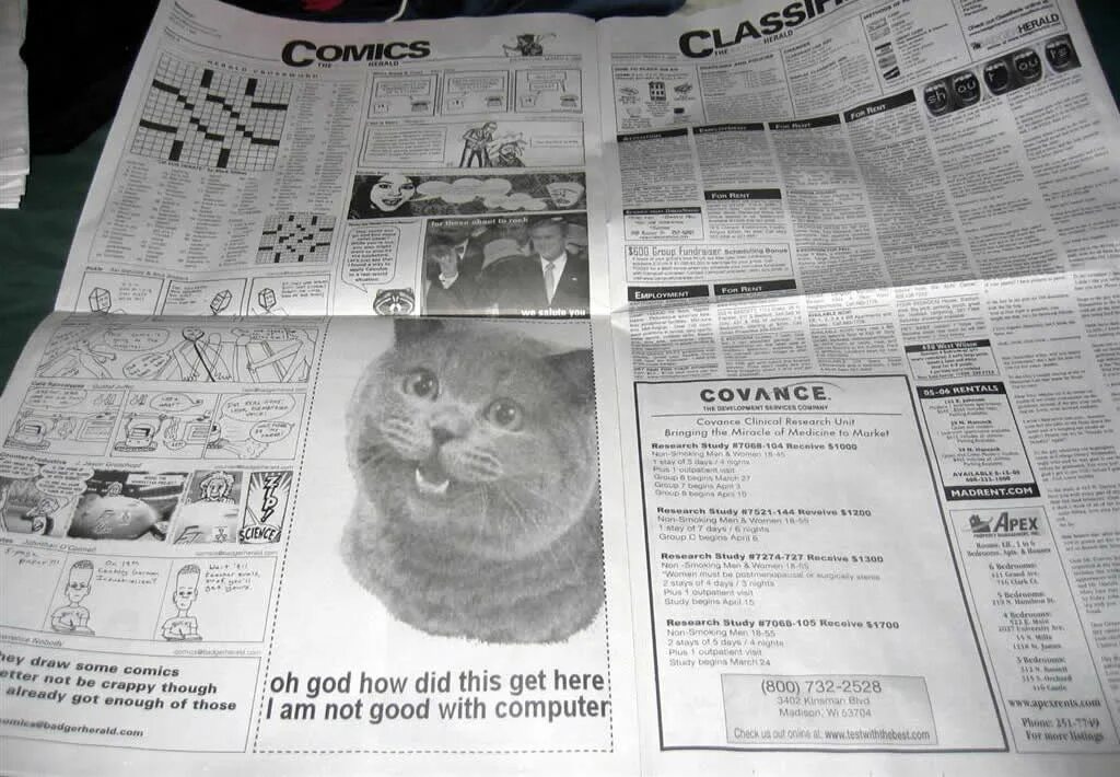 How did i get here?. Not good. I am good with Computers. Cat reading newspaper meme. Get in here now