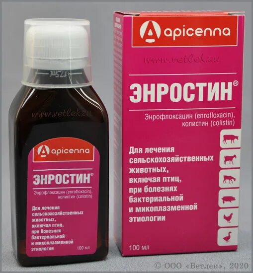 Ветеринарный препарат энростин. Энростин 100мл. Энростин оральный, 10мл. Энростин or фл 100 мл.