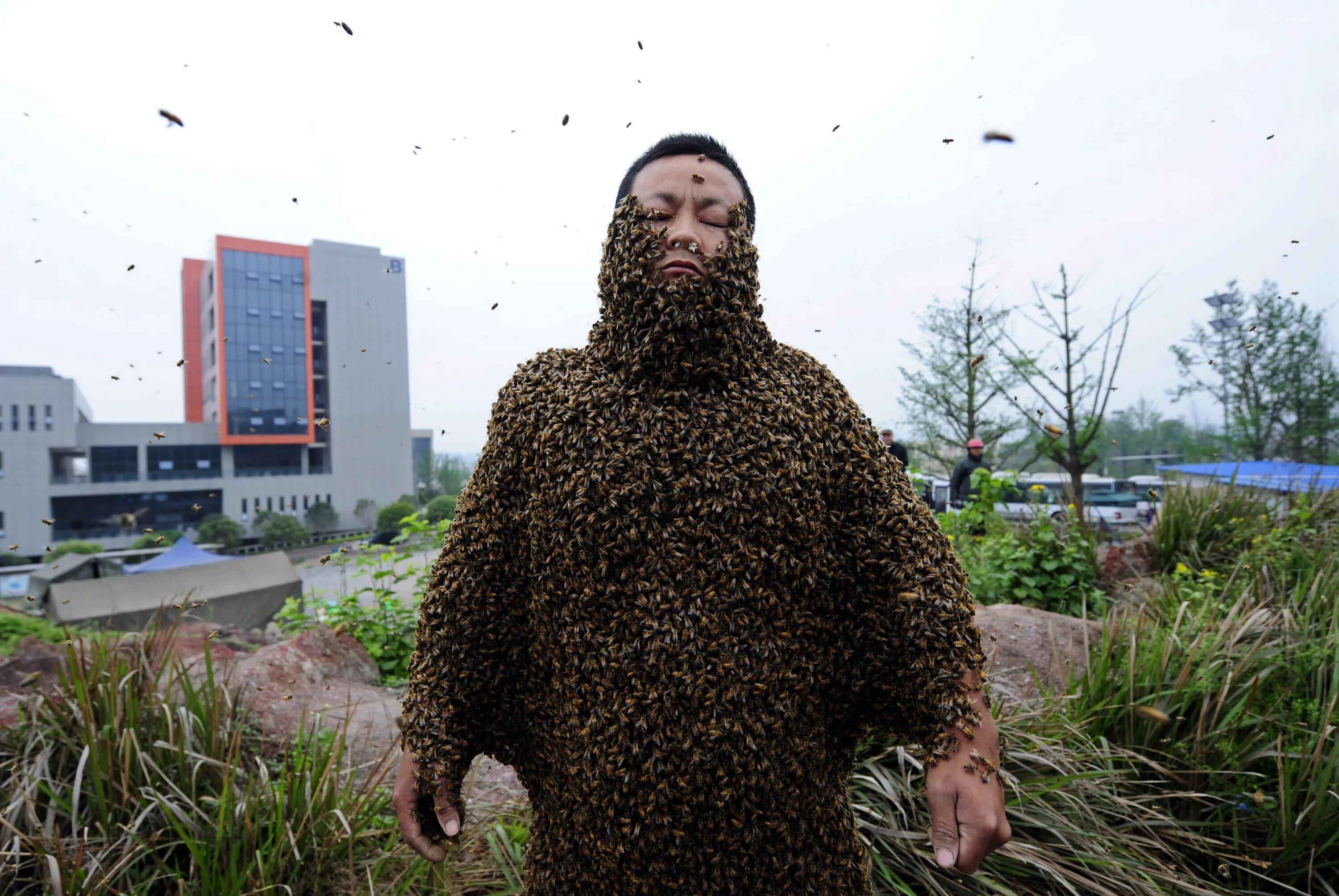 World's weirdest. Костюм из пчел. Самый большой и страшный человек. Человек весь в пчелах. Самые крупные из пчел.
