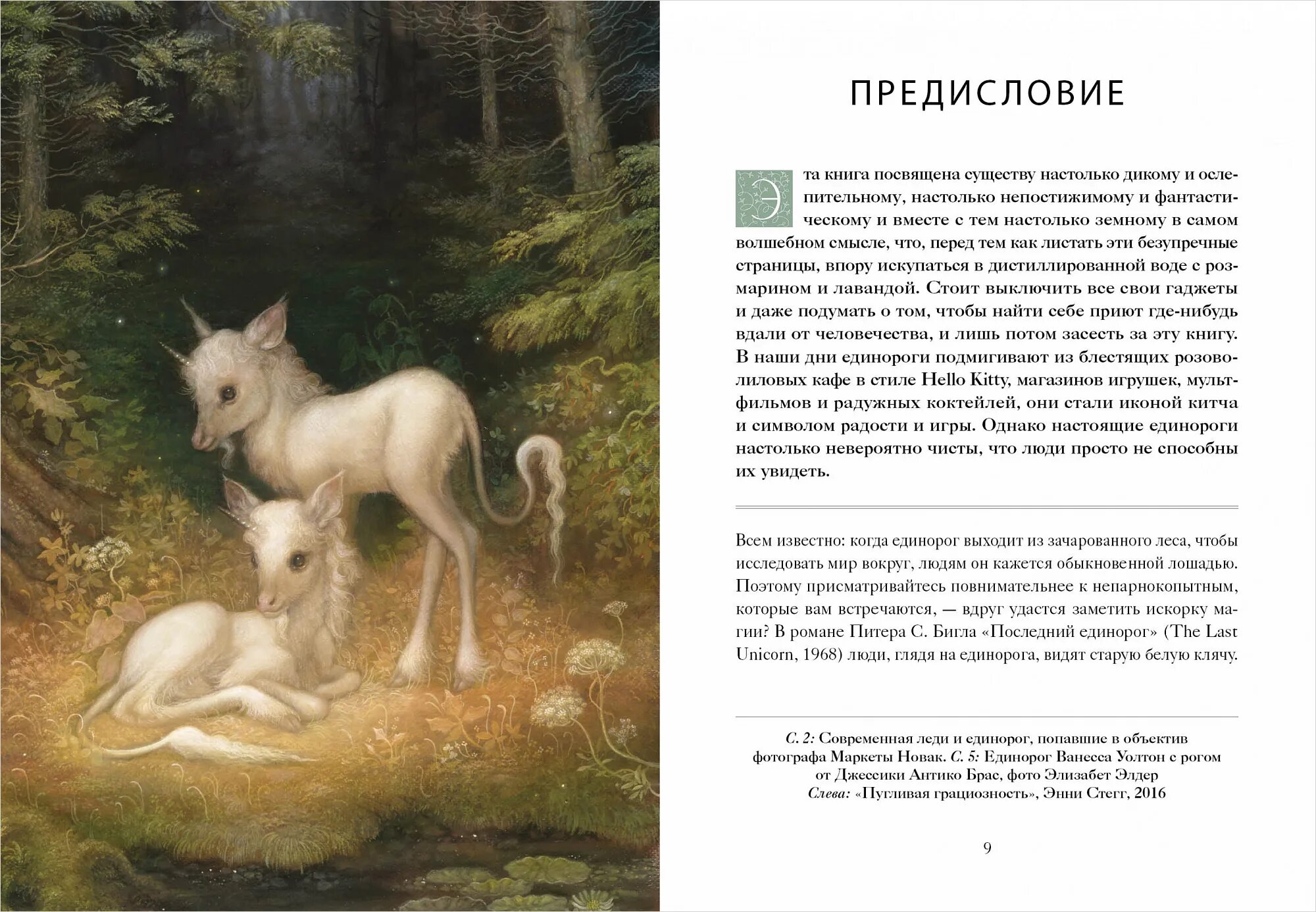 Книги про единорогов. Книга единорогов Кэролин Терджен. Кэролин Терджен: книга единорогов содержание. Книга волшебные Единороги. Книги про единорогов для детей.