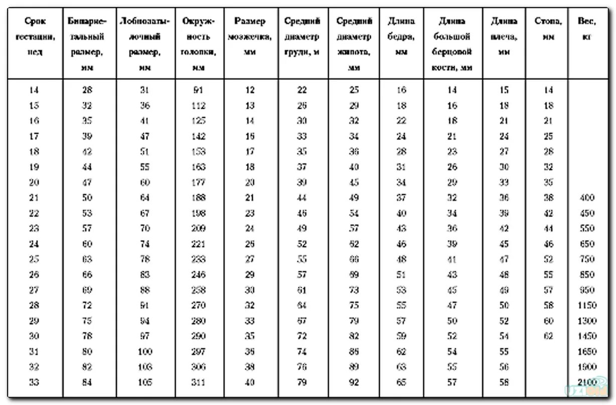 Фетометрия на 32 неделе беременности норма. Окружность живота и высота дна матки по неделям. Норма высоты дна матки по неделям беременности. Размер не соответствует сроку. Узи беременность 3-4 недели норма по узи.