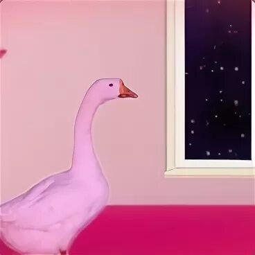 Розовый гусь. Розовый гусь смотрит в окно хочет понять. Розовый гусь почему так темно. Розовый гусь смотрит в ок. Розовый гусь почему так темно.