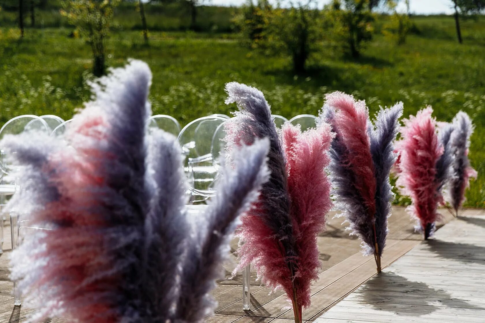 кортадерия сухоцвет. сухоцвет пампас грасс. пампасная трава болотная. пампасная трава ветка сухоцвет. кортадерия сухоцвет.