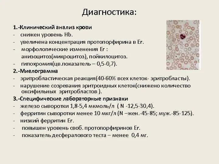 Гипохромия выраженная. Анизоцитоз по анализу крови. макроцитоз в общем анализе крови у женщин. анизоцитоз и гипохромия в общем анализе крови. гипохромия показатели крови.