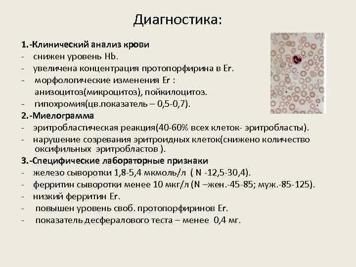 Микроциты повышены. Анизоцитоз по анализу крови. Гипохромия показатели крови. Макроцитоз в общем анализе крови у женщин. Анизоцитоз и гипохромия в общем анализе крови.