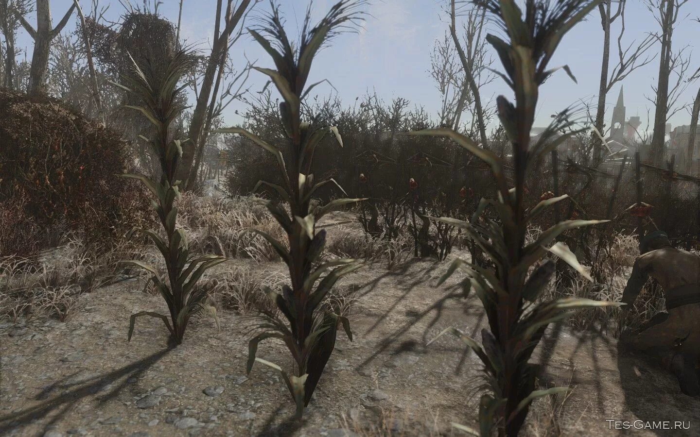 Мутафрукт фоллаут 76. Мутафрукт fallout. Fallout 4 мутафрукт id. Деталь синта. Fallout 4 чит-код на клей.