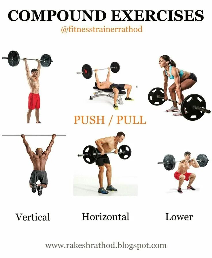 Pull exercises. Compound exercise. compound exercises. compound movements. compound lifts.