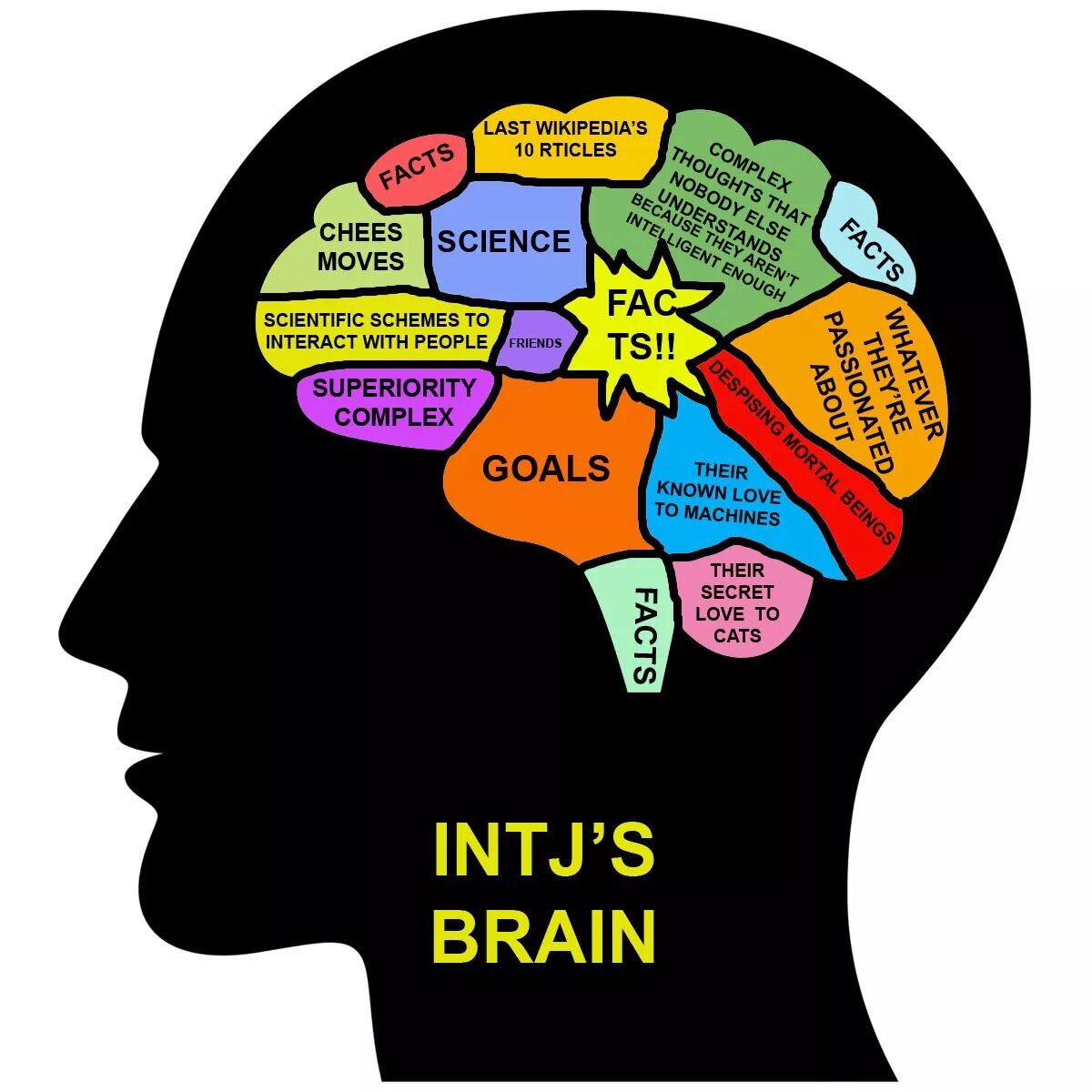 Need brain. INTJ личность. ENTJ Тип личности. Тип личности стратег INTJ-A. Типы личности INTJ ENTJ.