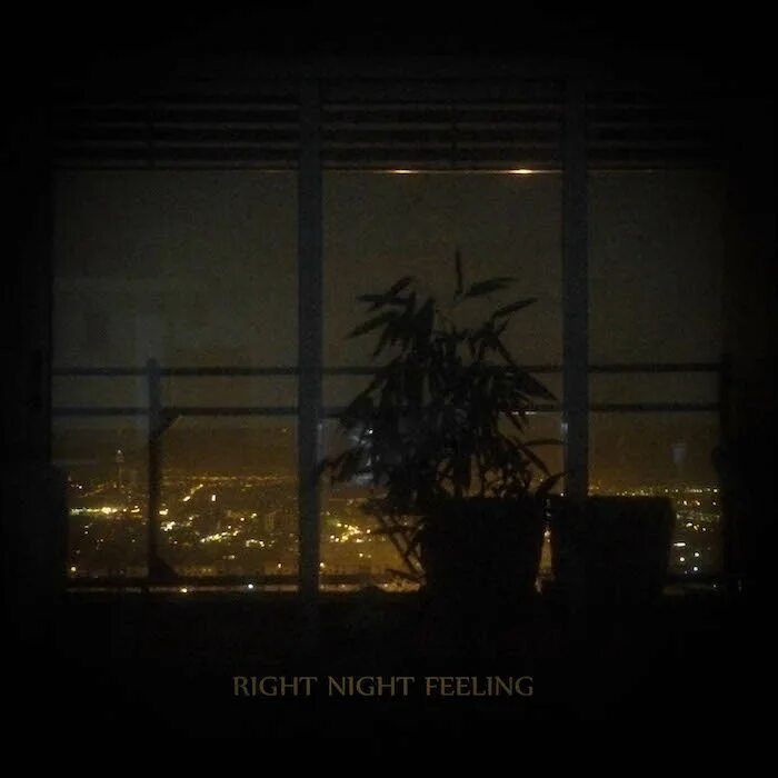 Антифа флаг. Night right now. Night right now. Город ночью. Ночной лос анджелес.
