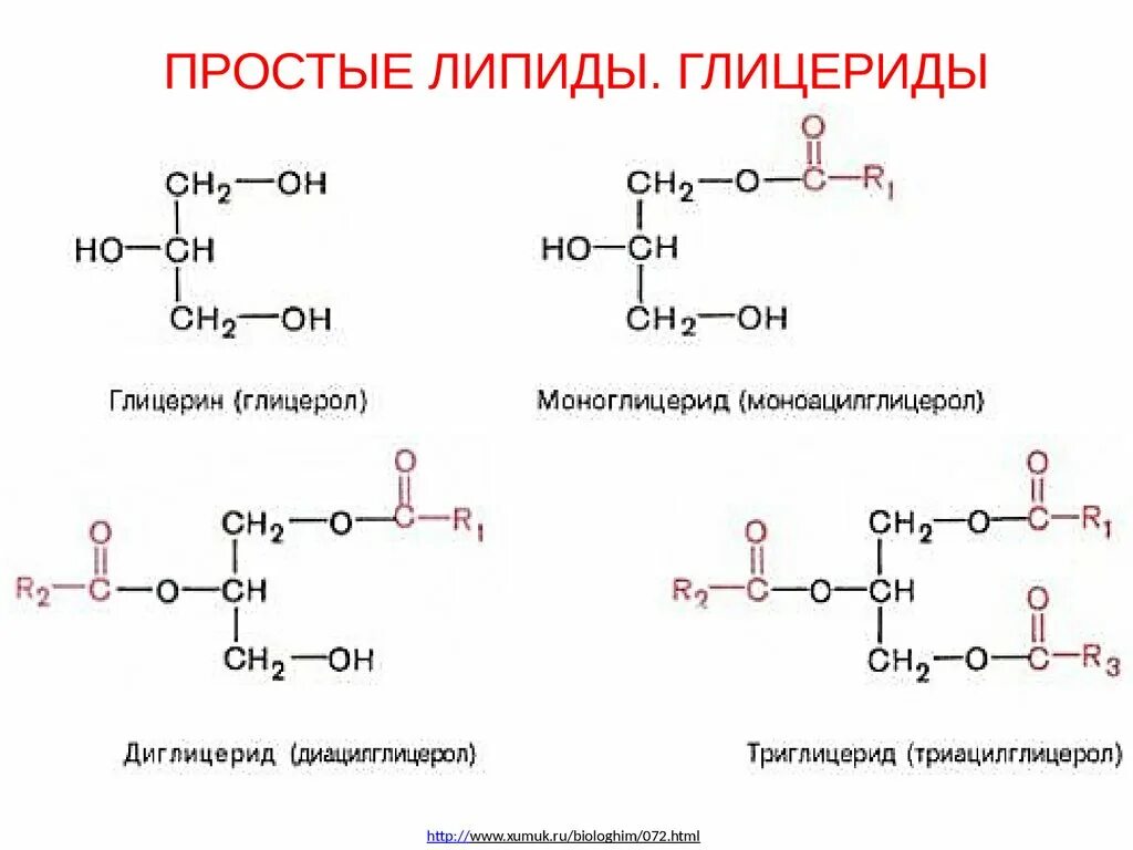 Общее название жиров. Классификация липидов с формулами. Строение липидов формула. Структурная формула липидов. Общее строение липидов формула.