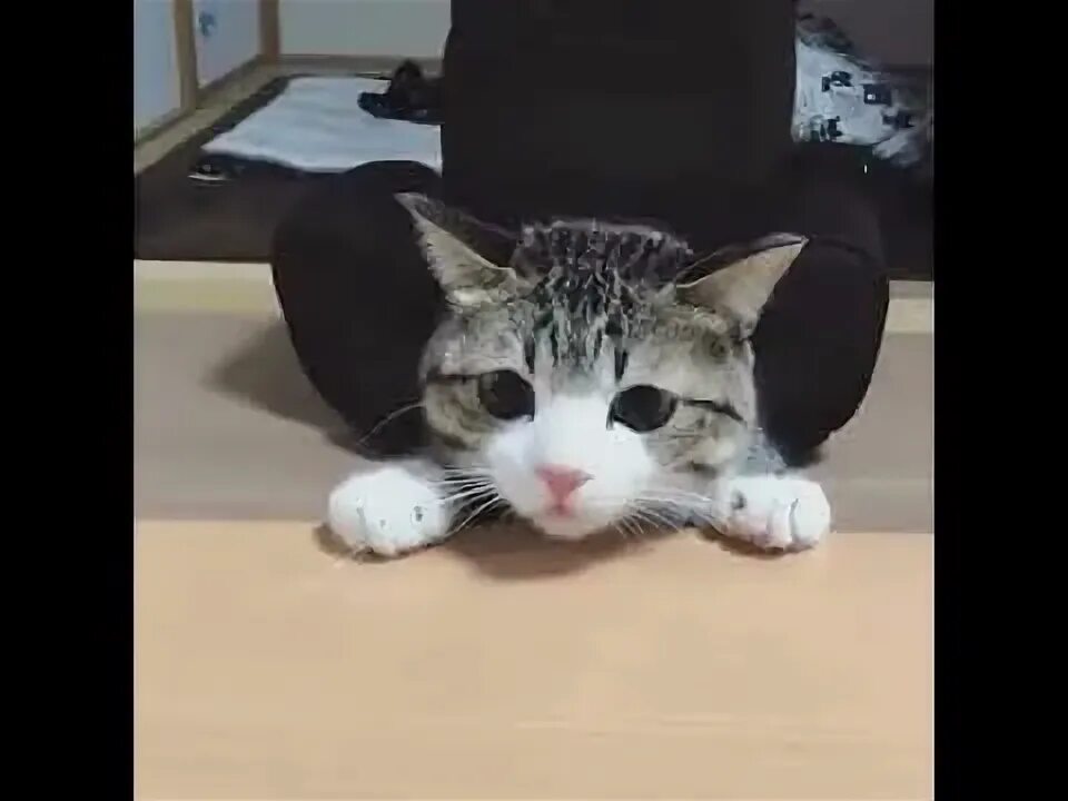 Видео что же там. Картинки где видео. Видео что же там. Видео что же там. Видео что же там.