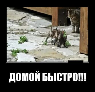 Понятно домой