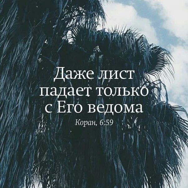 Могут ли хозяева выписать человека без его ведома?. Справедливость мем. Несанкционированные действия. Без его ведома это. Как выписать человека.