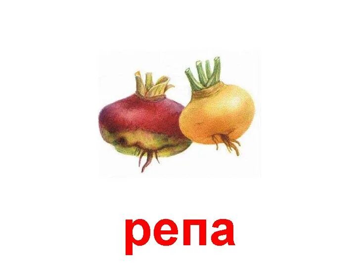 Разбор репа. Карточки для детей репа. репа рисунок. репа для дошкольников. карточки овощи репа.
