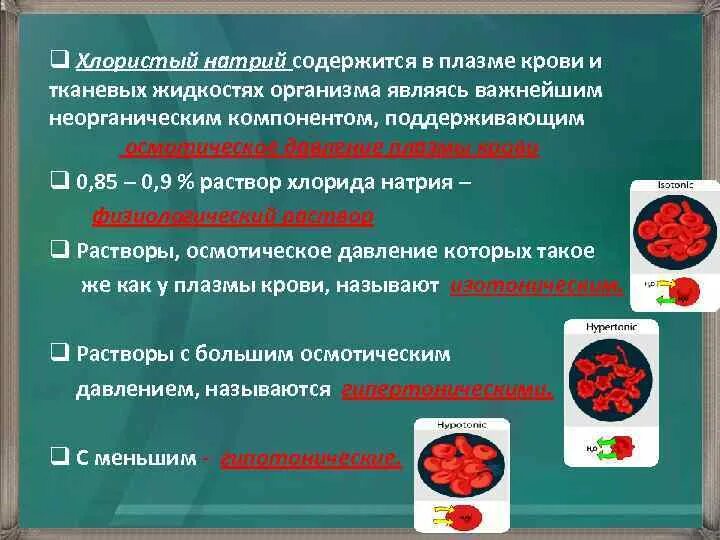 Эритроциты в гипотоническом растворе. Концентрация натрия в плазме. Задание егэ по биологии с эритроцитами. Известно что концентрация солей в плазме. Эритроцит в разных концентрациях солей.