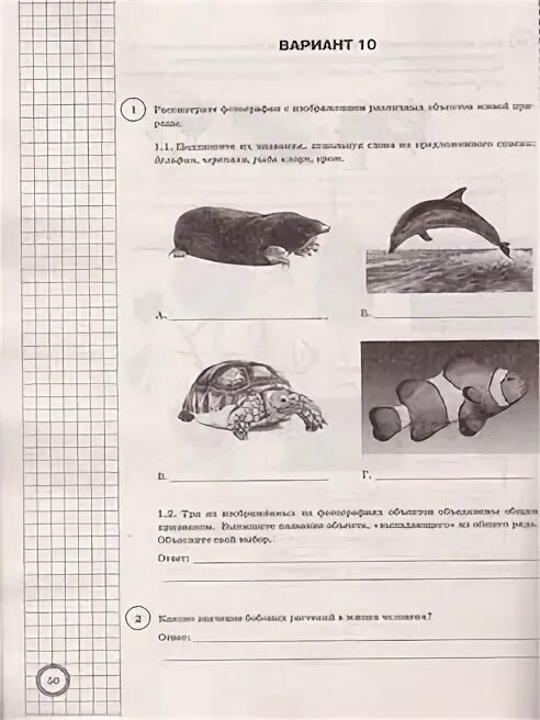 Впр по биологии 7 класс