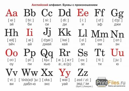 Английская азбука с картинками