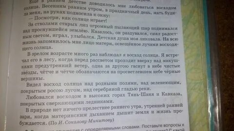 Причастие мы вошли в лес освещенный лучами