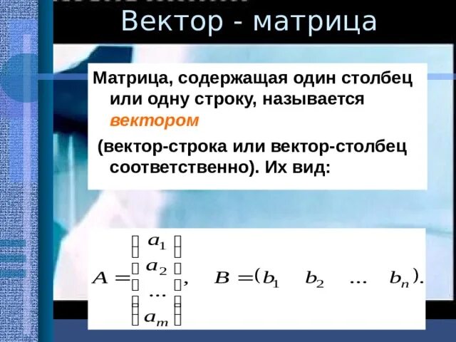 Вектор столбец матрица. Вектор строка матрицы. Вектор строка и вектор столбец. Матрица из векторов. Матрица содержащая информацию