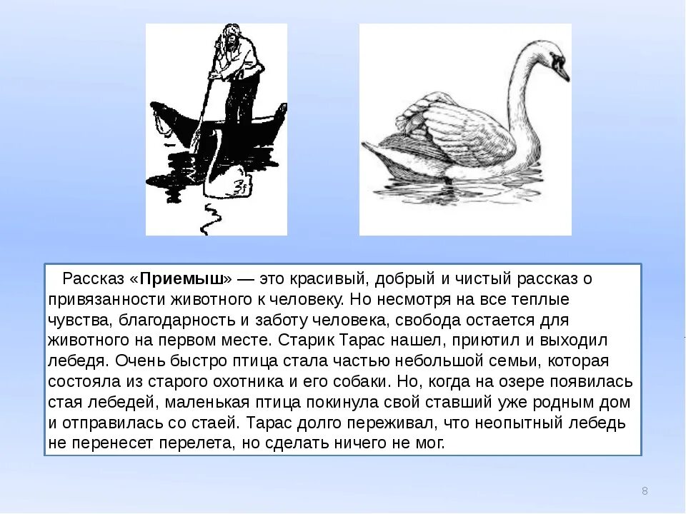 Пересказ сказки приемыш мамин Сибиряк. Рассказ приёмыш мамин-Сибиряк. Краткий рассказ у рассказа приемыш. Мамин Сибиряк рассказ про лебедя. Основная мысль лебеди толстого