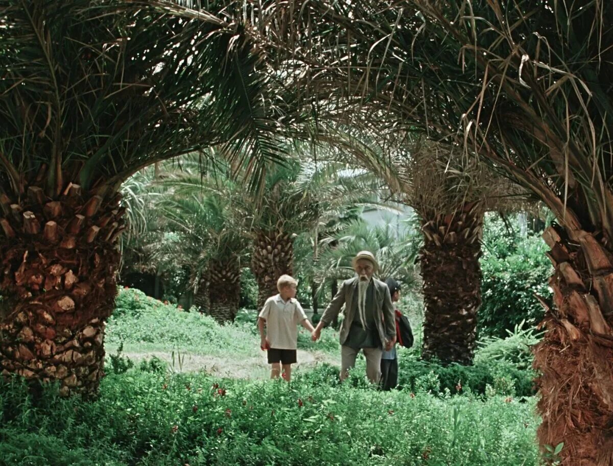 санаторий орджоникидзе фонтан танцующие вакханки. старик хоттабыч фильм сочи. хоттабыч фильм 1956. санаторий орджоникидзе сочи старик хоттабыч. санаторий орджоникидзе сочи старик хоттабыч.