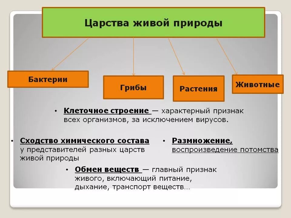 Характеристика царств природы. Признаки Царств природы. Общая характеристика Царств. Царство бактерий и грибов. Краткая характеристика Царств живой природы.