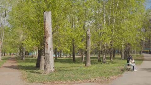Муп парк культуры и отдыха