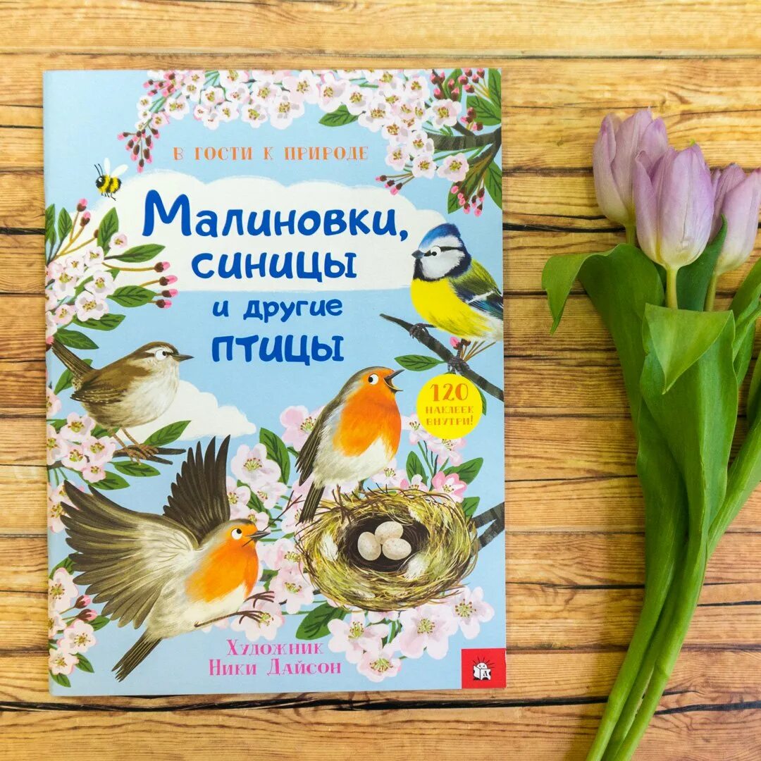 Книга синичек. Книги с наклейками птицы. кротик и синичка книга.