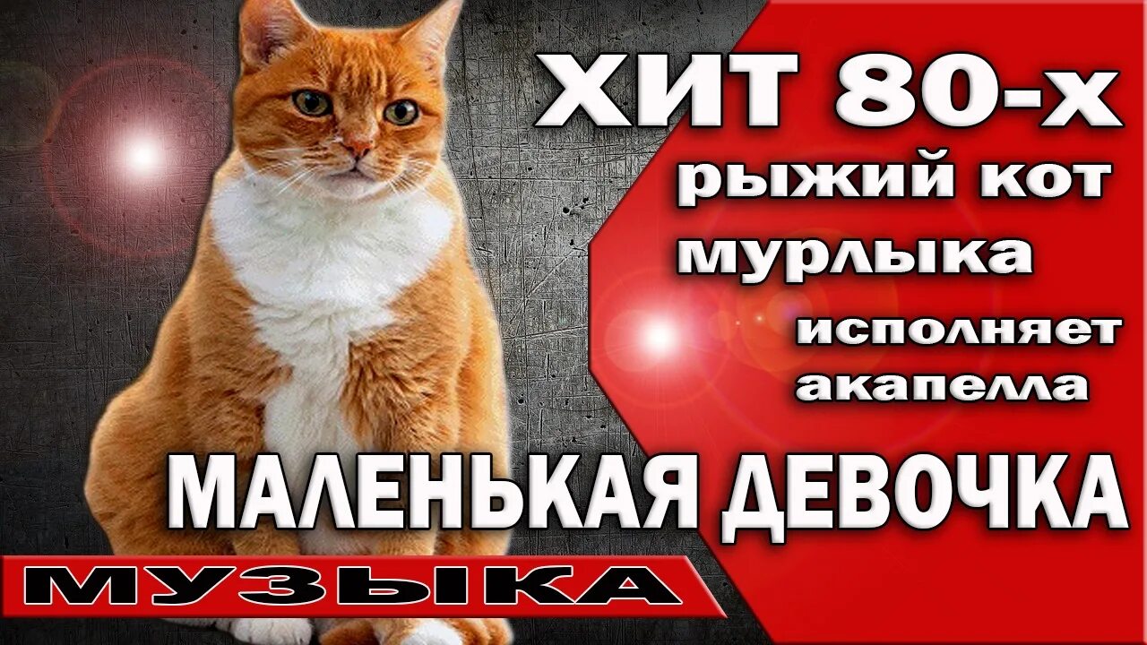 Рыжий кот Мурлыка. Рыжий кот песни. Песня кот Мурлыка. Рыжий кот песня детская.