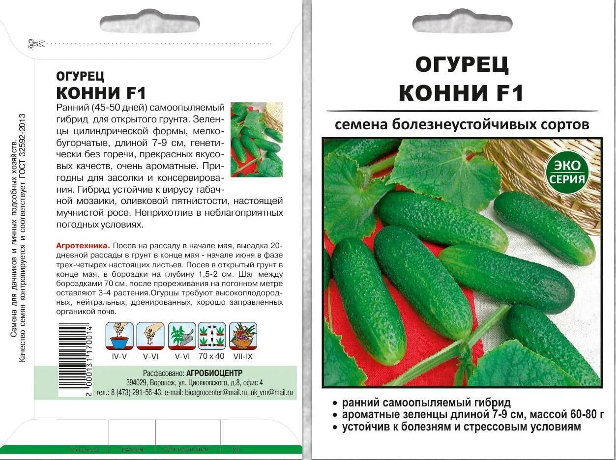 Какие семена огурцов купить для открытого грунта. Огурец огурец Конни f1. Семена огурцов корнишоны самоопыляемые. Огурец Конни f1 артикул. Семена огурцов самоопыляемые f1.