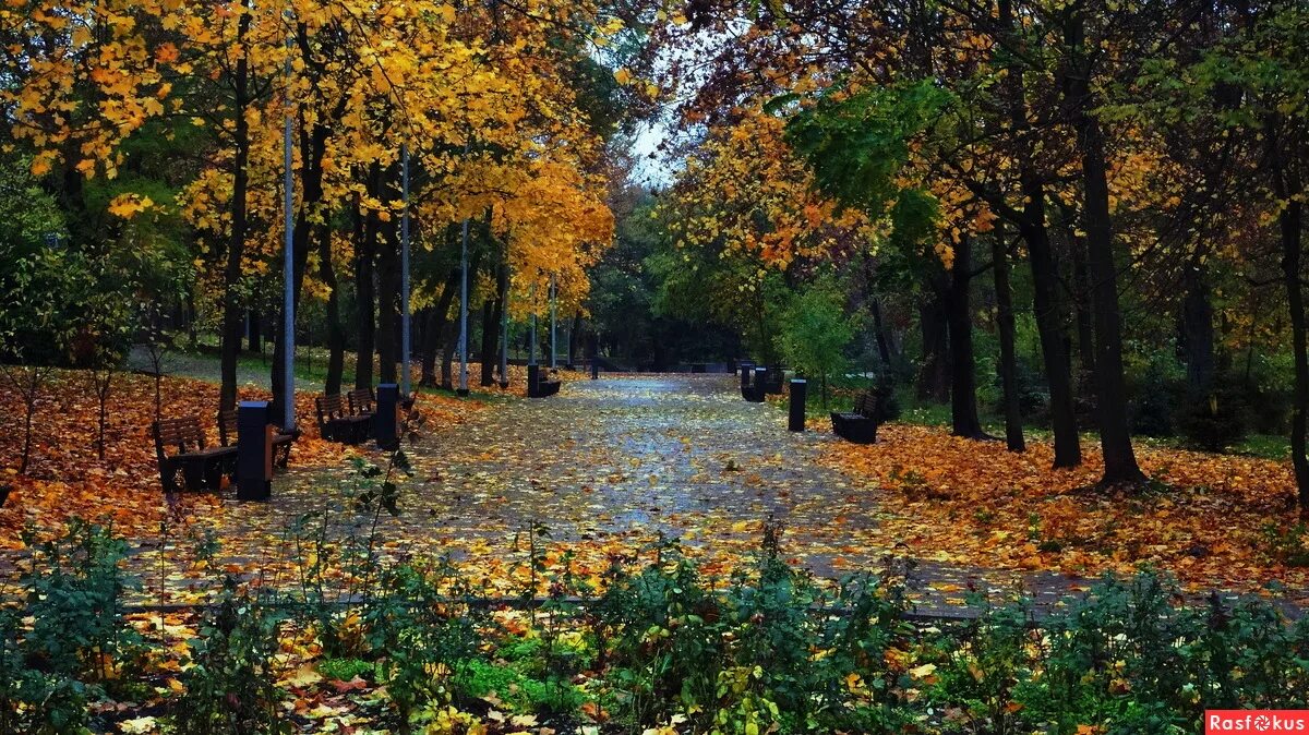 мариуполь осень. дождливая осень. осень в петербурге эдуард гордеев. пасмурная осень в парке. осенние лужи.