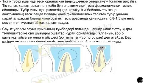 Ресейлік Вудманның онлайн бейнесін кастинг