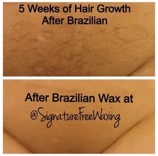 Signature Free Waxing.