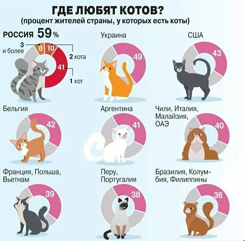 Какого питомца хочешь