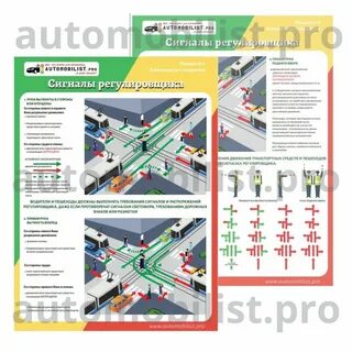 Как запомнить регулировщика пдд 2024