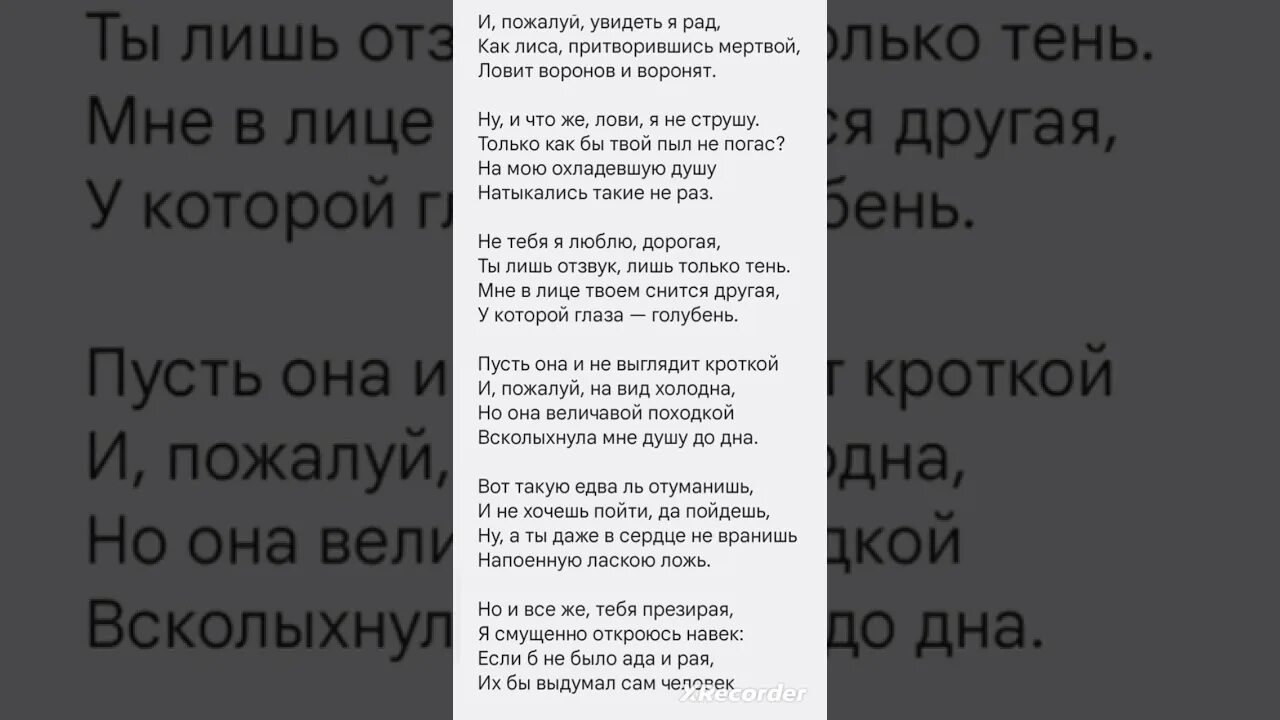 Я не ищу гармонии в природе слушать. Шираз Есенин Шаганэ. Силентиум Мандельштам. Стихотворение силентиум Мандельштам. Есенин стихотворение Шаганэ ты.