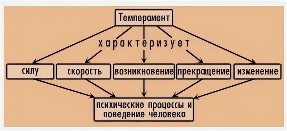 Темперамент имеет социальную природу