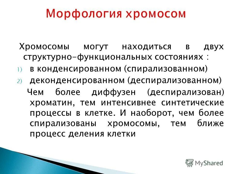 Морфология дерева. Возбудитель холеры культуральные свойства. Хламидии культуральные свойства. Возбудители бактериальных респираторных инфекций. Грамотрицательные палочки.